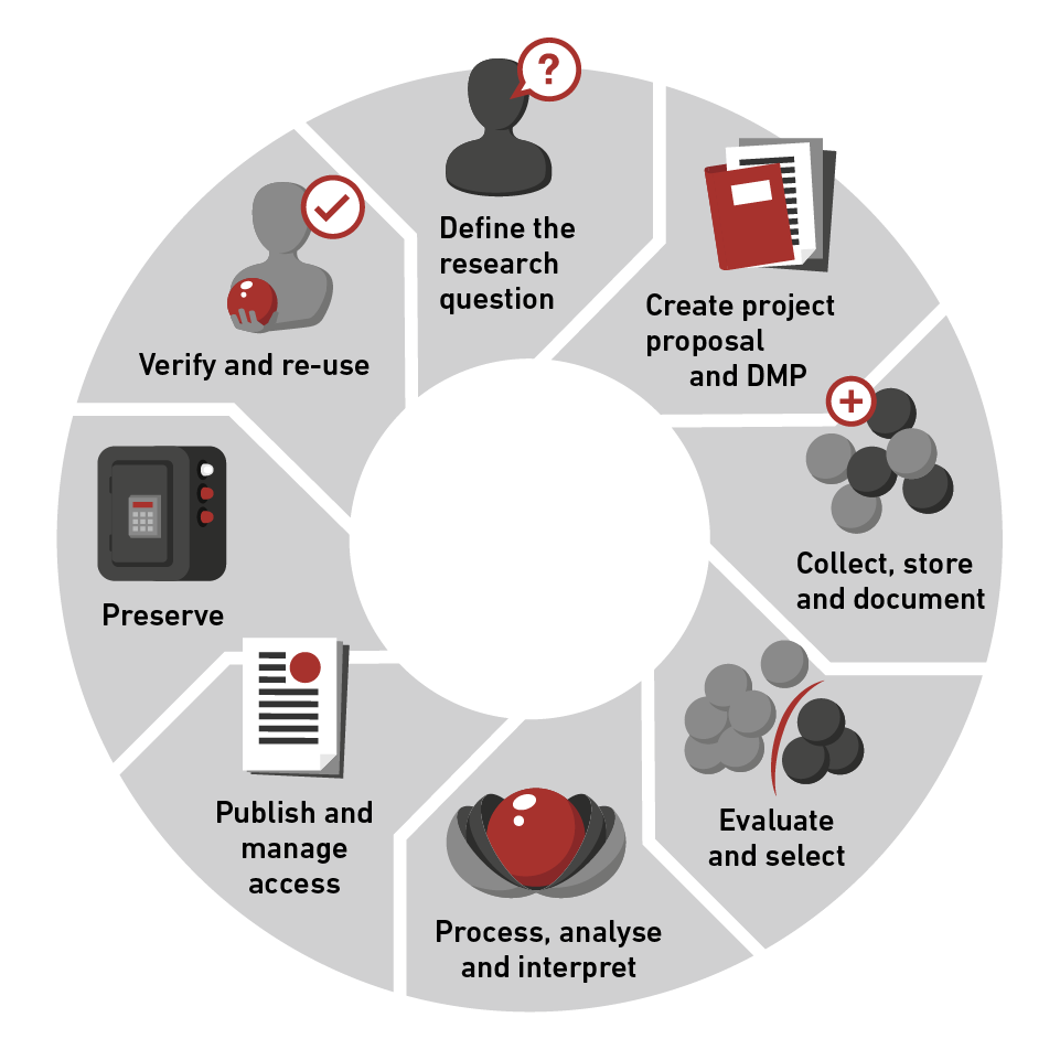 Research data lifecycle: define the research question, create a project proposal and data management plan, collect, store and document data, evaluate and select, process, analyse and interpret, publish and manage access, preserve, and verify and reuse.